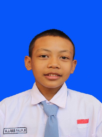 M. LABIB FALIH NAUFAL 